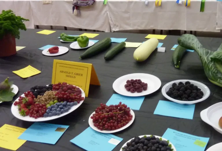 Annual Show 2018