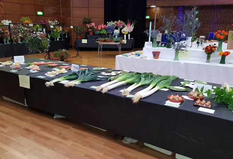 Annual Flower Show 2017
